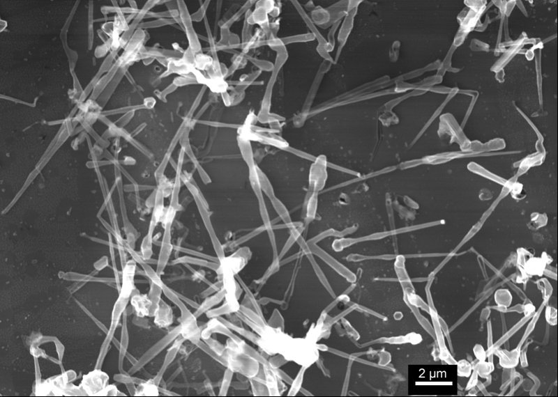 Abgeschiedenes Li, das bei Untersuchungen zum Wachstumsmechanismus von dendritischem Li erhalten wurde (REM)