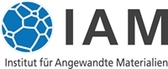 IAM Logo