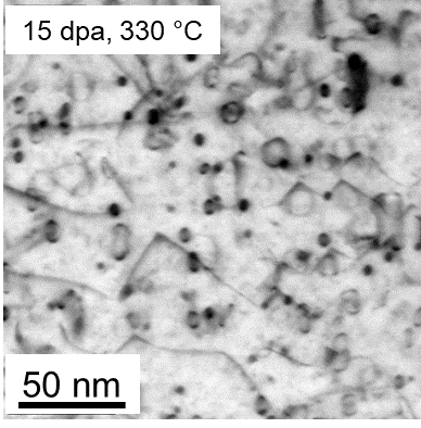 STEM-HAADF image (inverted contrast) of neutron irradiated EUROFER97