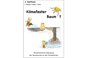 Klimafester Baum