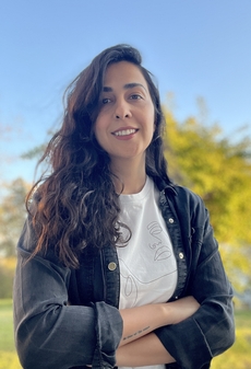 M. Sarebanzadeh