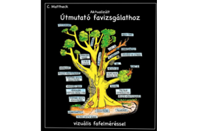 Updated Field Guide for Visual Tree Assessment
